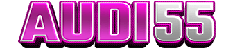 AUDI55